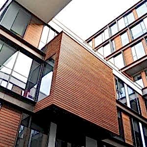 Ahşap Deck Modelleri - Dişbudak